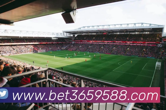 bet365中国官网服务体系
